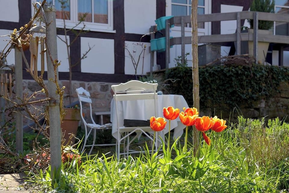 Apartment | Garden