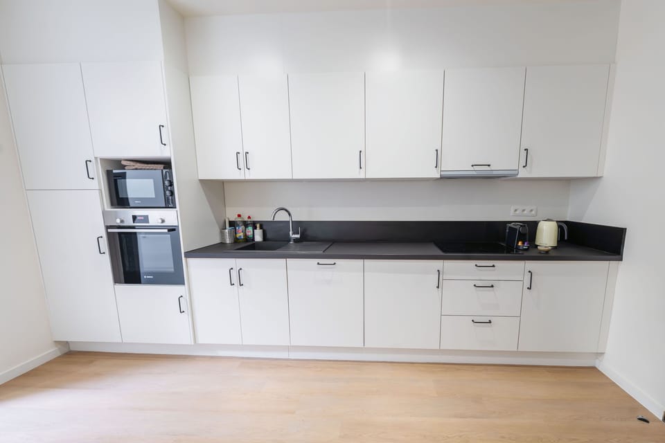 Basic Apartment | Private kitchen | Fridge, microwave, oven, stovetop