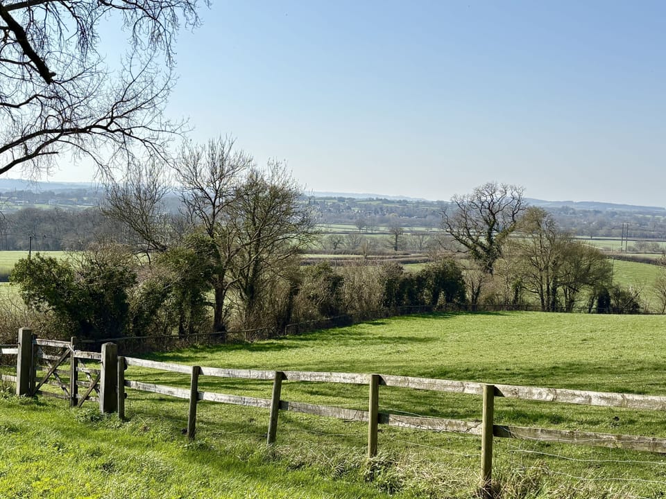 Blackmoor View Cottage, Knighton, Sherborne: Listen to the birdsong
