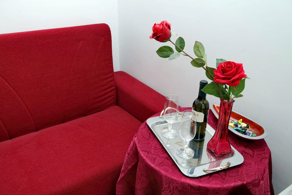 Classic Double Room | Room amenity