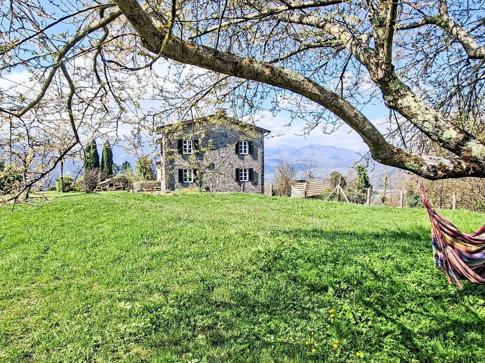 Grass, Shrub, House, Landscape, Home, Grassland, Land Lot, Rural Area, Cottage, Lawn
