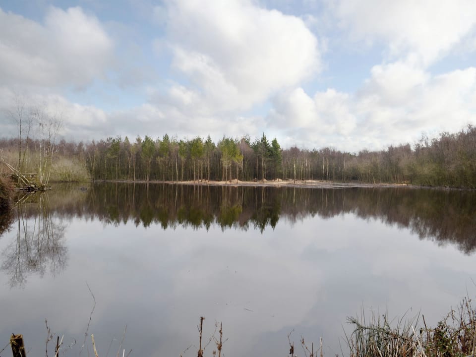 Superb lake views | Dovedale - Darwin Lake, Darwin Lake, near Matlock