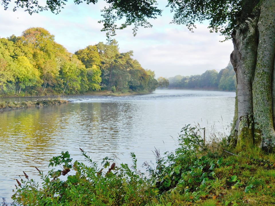 Surrounding area | Ness Castle Estate - Weir Cottage, Inverness