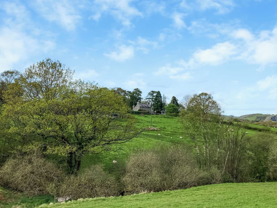 Surrounding area | Pipistrelle, Garth, near Builth Wells