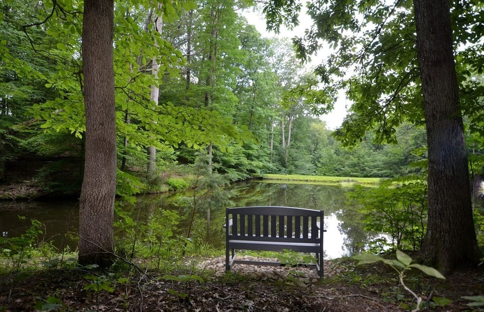Short walking distance with bench seating to fish from Angler's Lake.