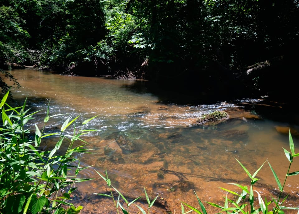Creek access and seating