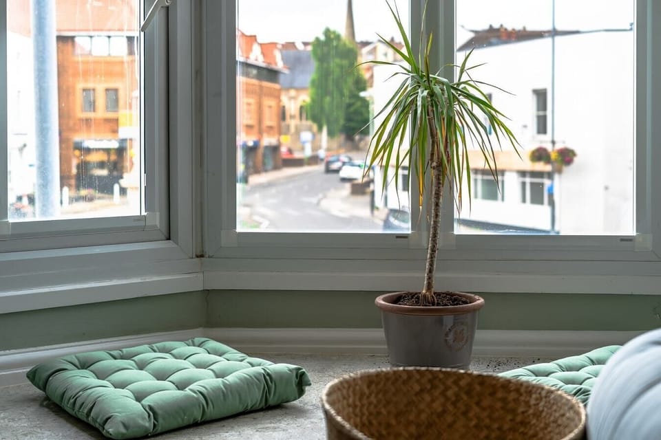 - Window seating with soft cushions and decor overlooking street   - Bright light creates cheerful corner with view of local scene   - Small plant detail adds natural style to peaceful sitting spot  