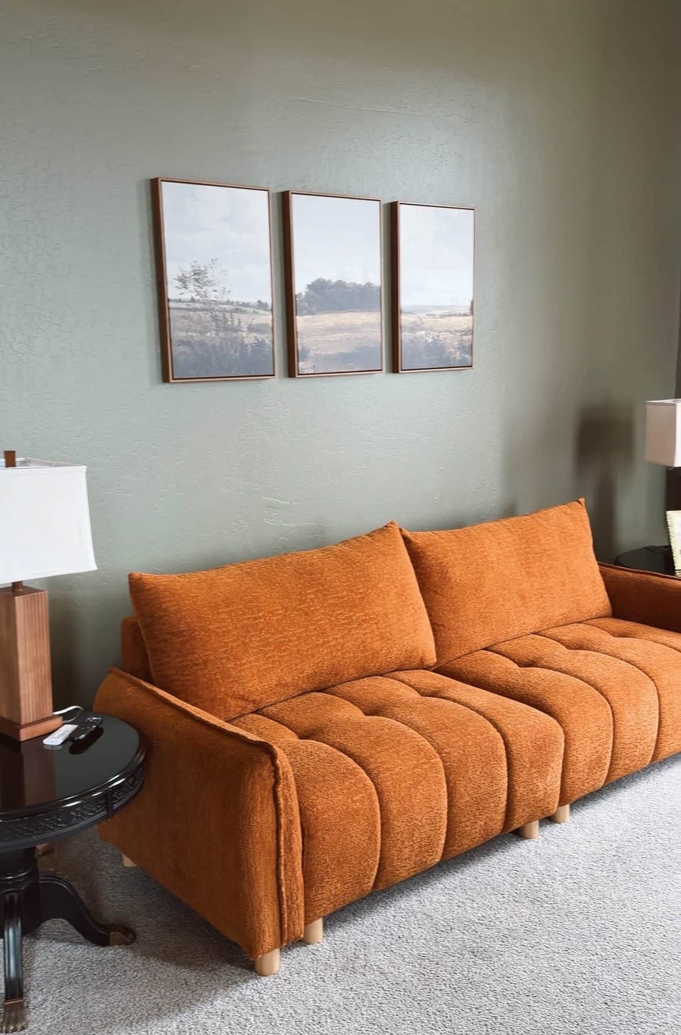 Pull out couch