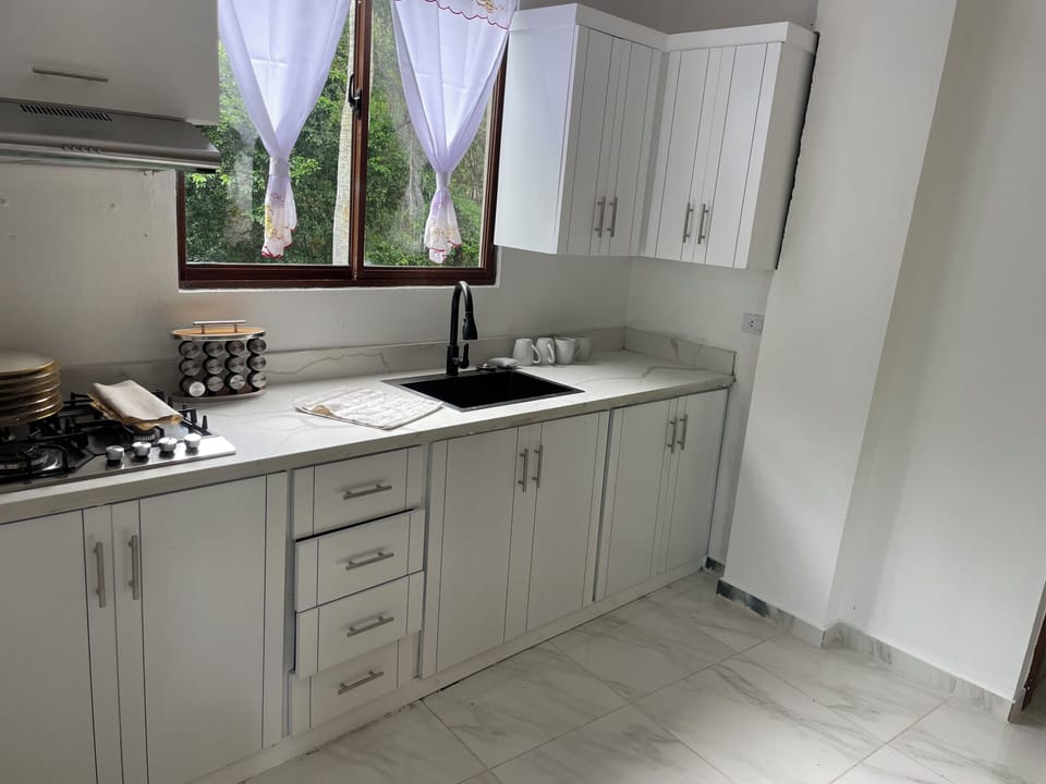 Comfort Apartment, Mountain View | Private kitchen