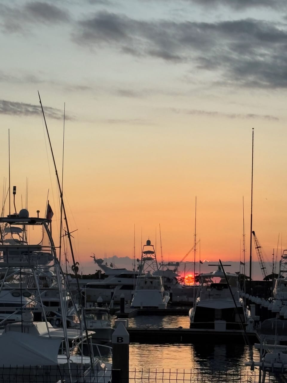 Marina