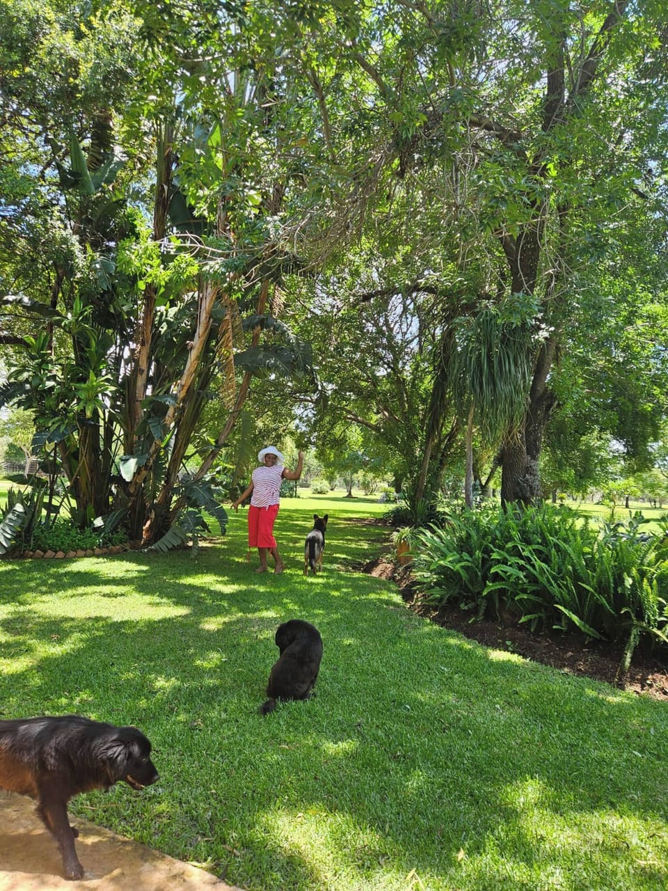 House, 3 Bedrooms, Accessible, Private Pool | Garden