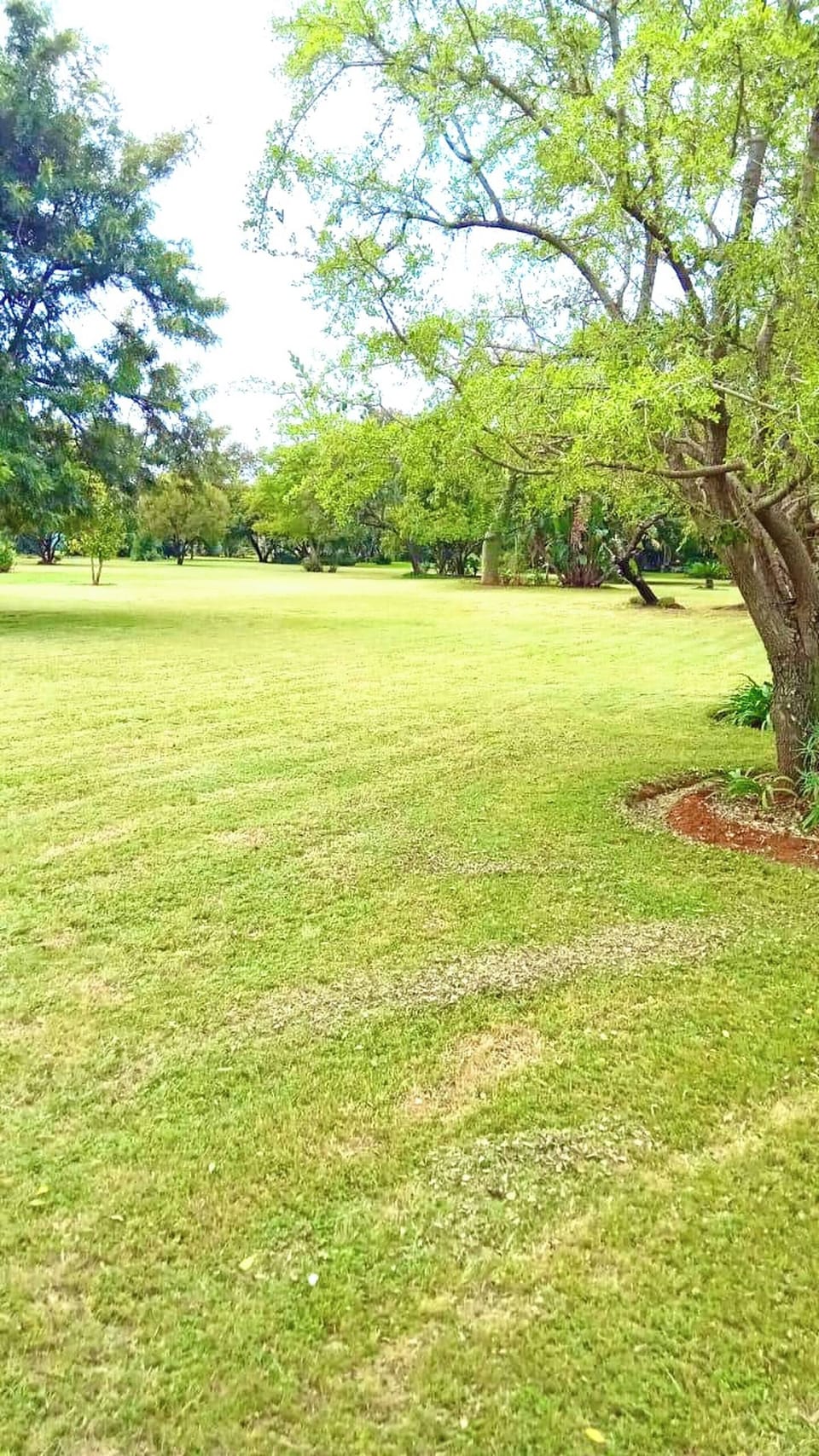 House, 3 Bedrooms, Accessible, Private Pool | Miscellaneous
