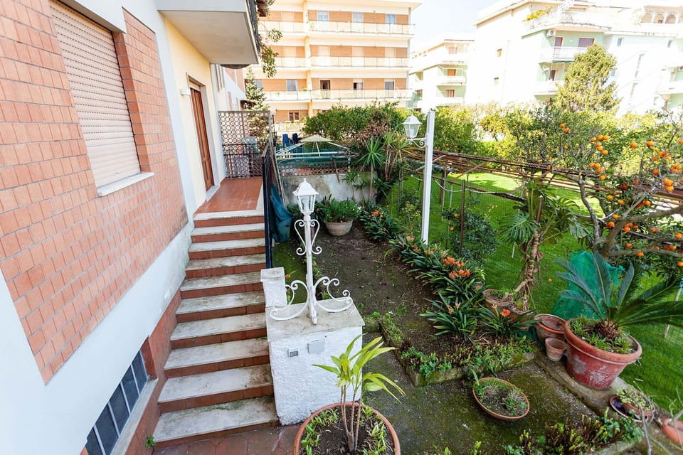 Shrub, Garden, Flowerpot, Balcony, Yard, Landscaping, Houseplant, Hacienda, Courtyard