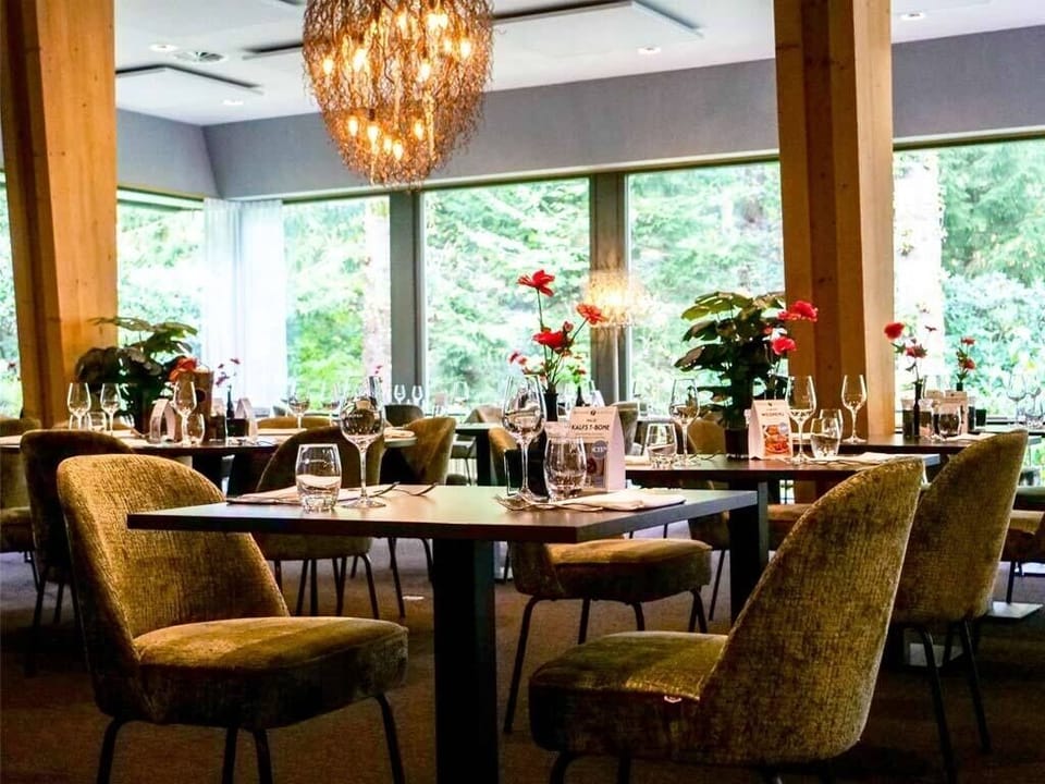 Linger over dinner beneath warm lights and forest-facing windows.