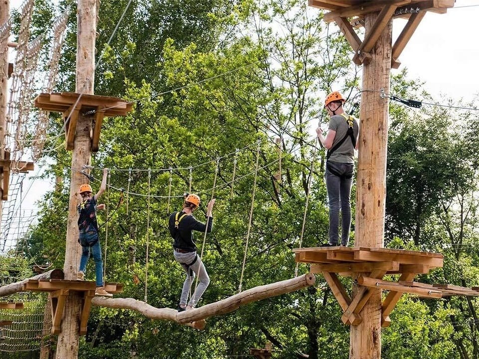 Challenge yourself on treetop platforms with secure, guided excitement.