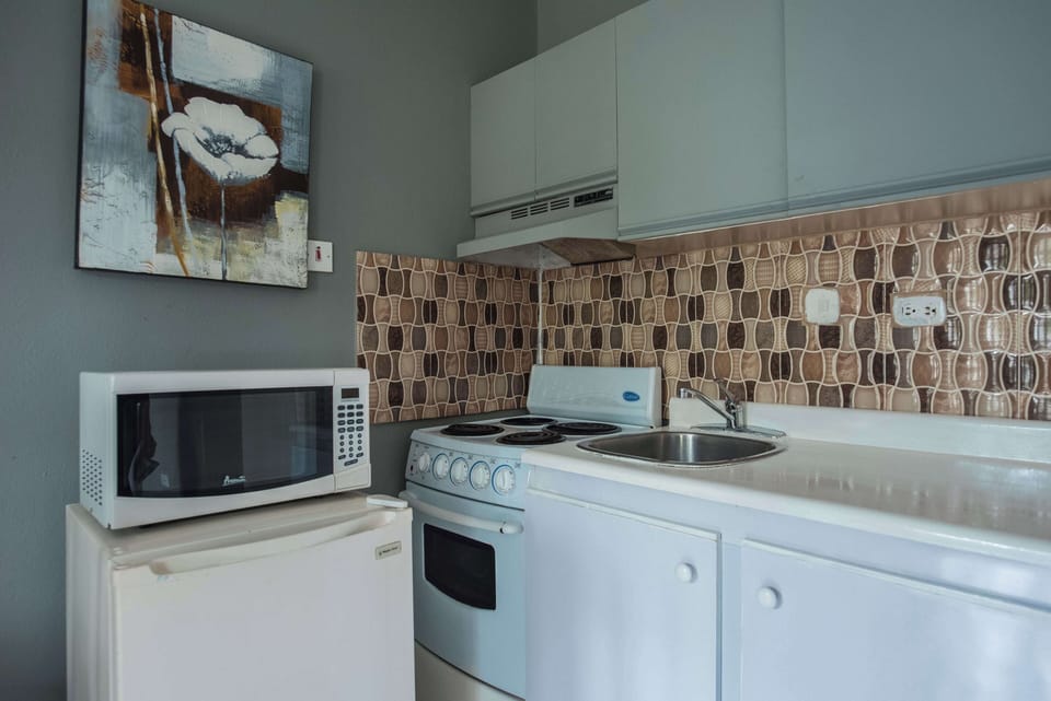 Economy Double Room, Balcony, Partial Sea View | Private kitchen | Fridge, microwave, stovetop, cookware/dishes/utensils