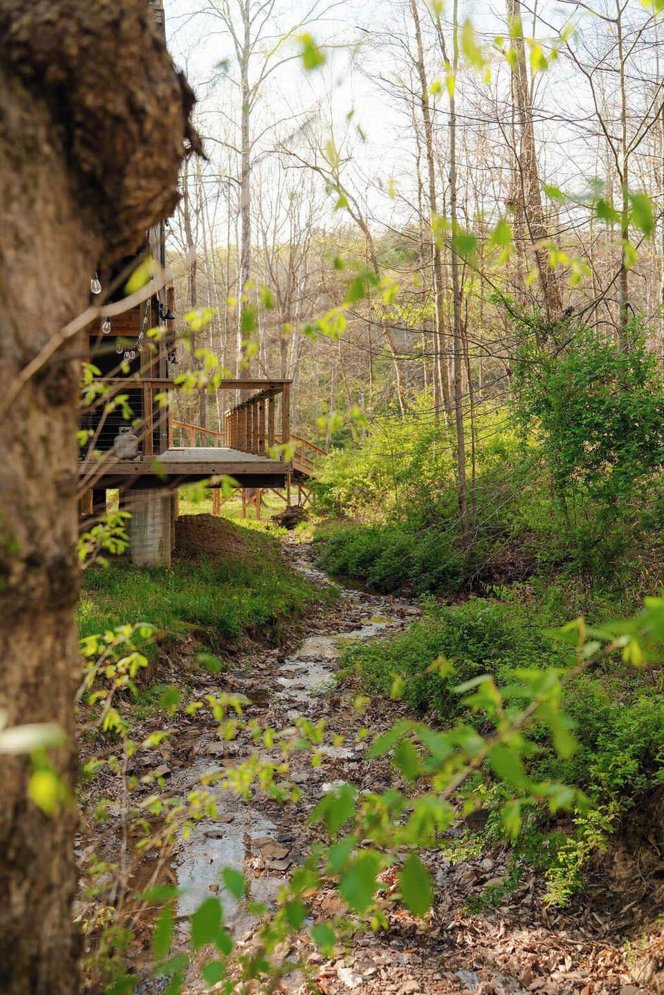 Outdoor Retreat: Serene deck views beside a gentle stream, perfect for nature lovers!