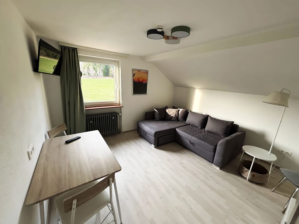Deluxe Apartment | Living area