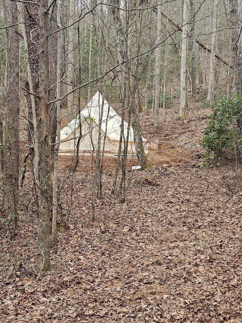 The tent is nestled in to the "hollar"