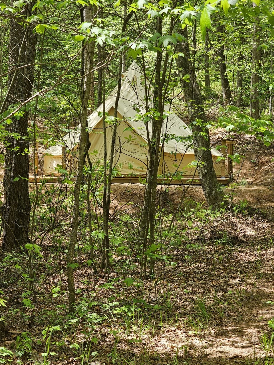 Hidden among the trees, Whisper "Hollar" is designed for quiet escapes, privacy, and deep relaxation.