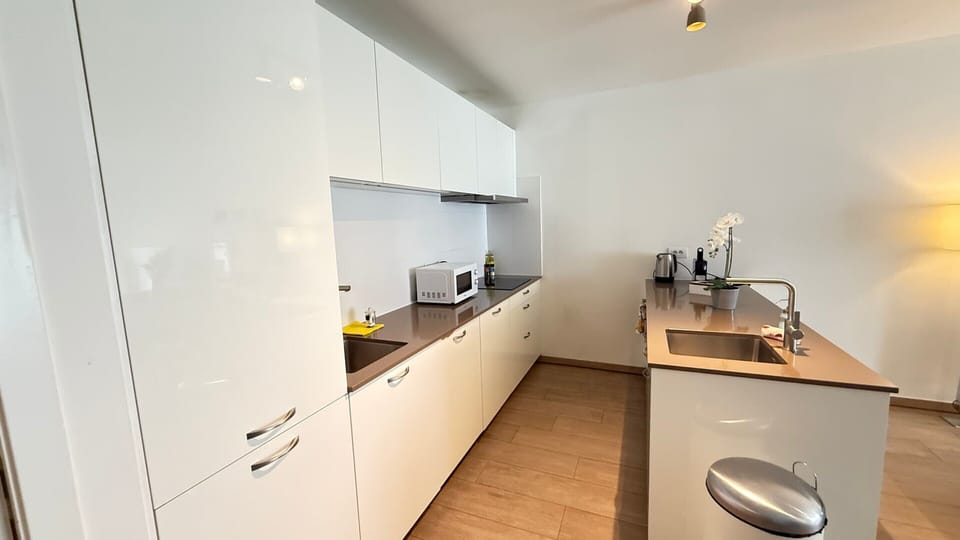 Apartment | Private kitchen | Cleaning supplies