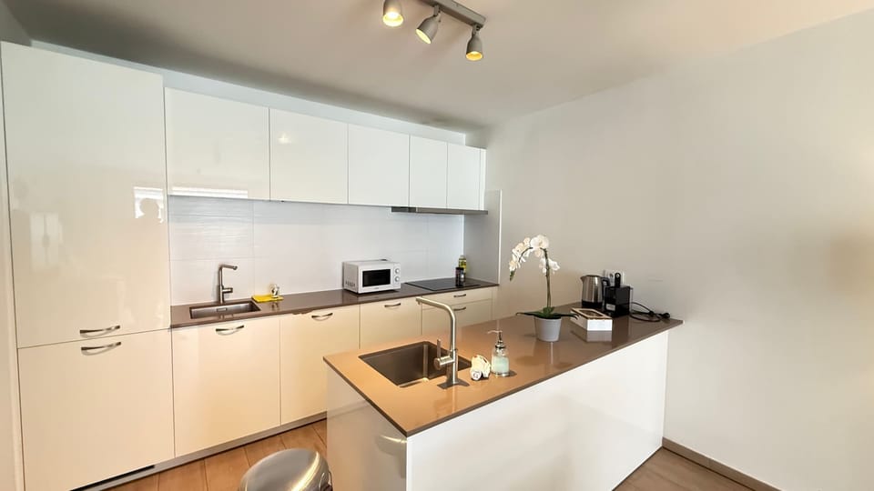 Apartment | Private kitchen | Cleaning supplies