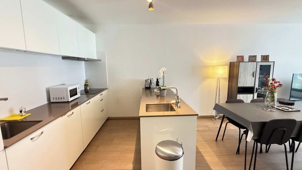Apartment | Private kitchen | Cleaning supplies