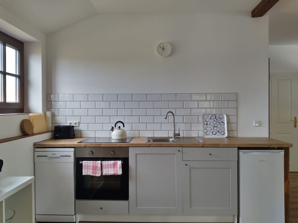 Classic Apartment, 1 Bedroom, Pets Allowed, Garden View | Private kitchen | Fridge, microwave, oven, stovetop