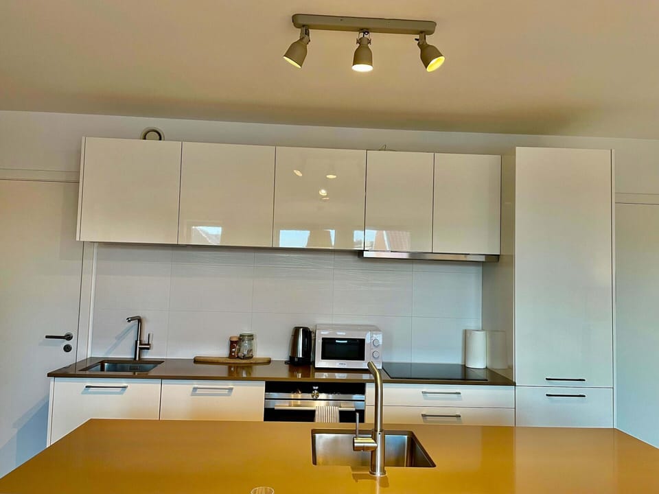 Apartment | Private kitchen | Cleaning supplies