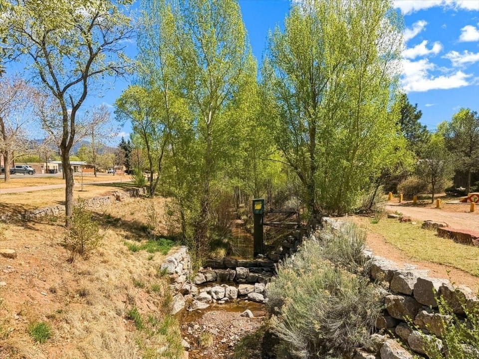 Along the Santa Fe River