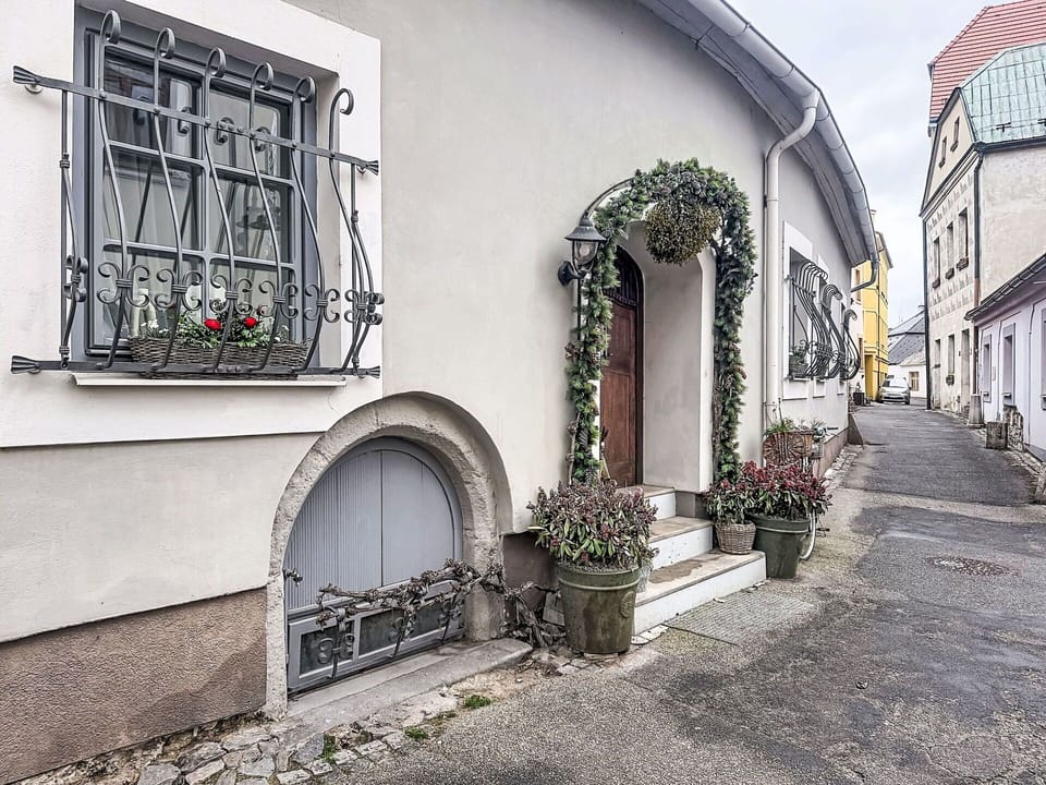 Wall, Architecture, Flowerpot, Arch, Door, Houseplant, Concrete, Flagstone, Cobblestone, Floristry