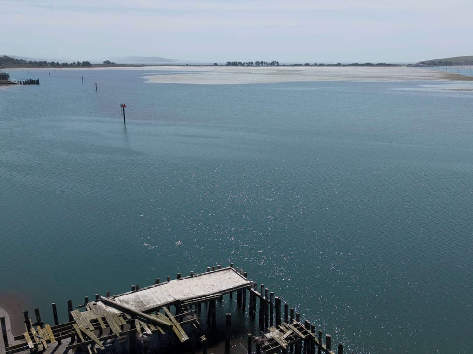Welcome to Bodega Bay