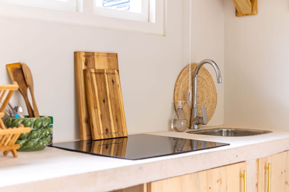 De Vos Apartments Studio Aloe Vera |Keuken| in Jan Thiel
