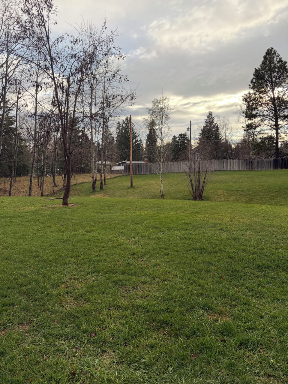 Property grounds