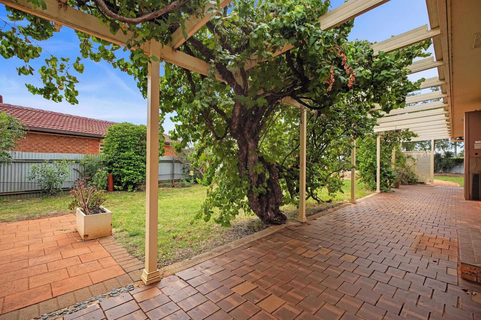 Backyard Area