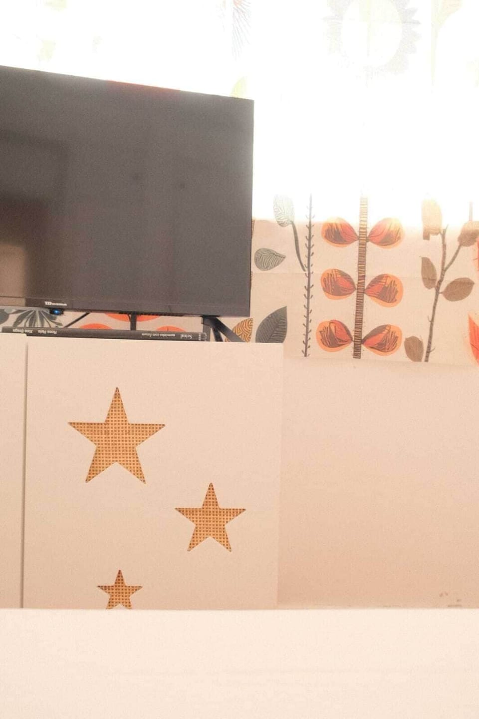Television