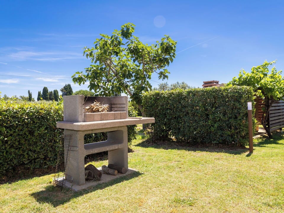 Shrub, Garden, Land Lot, Landscaping, Lawn, Shade, Backyard, Yard, Outdoor Bench