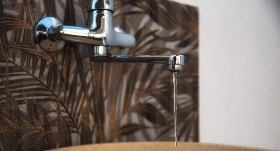 Shower, hair dryer, towels, toilet paper