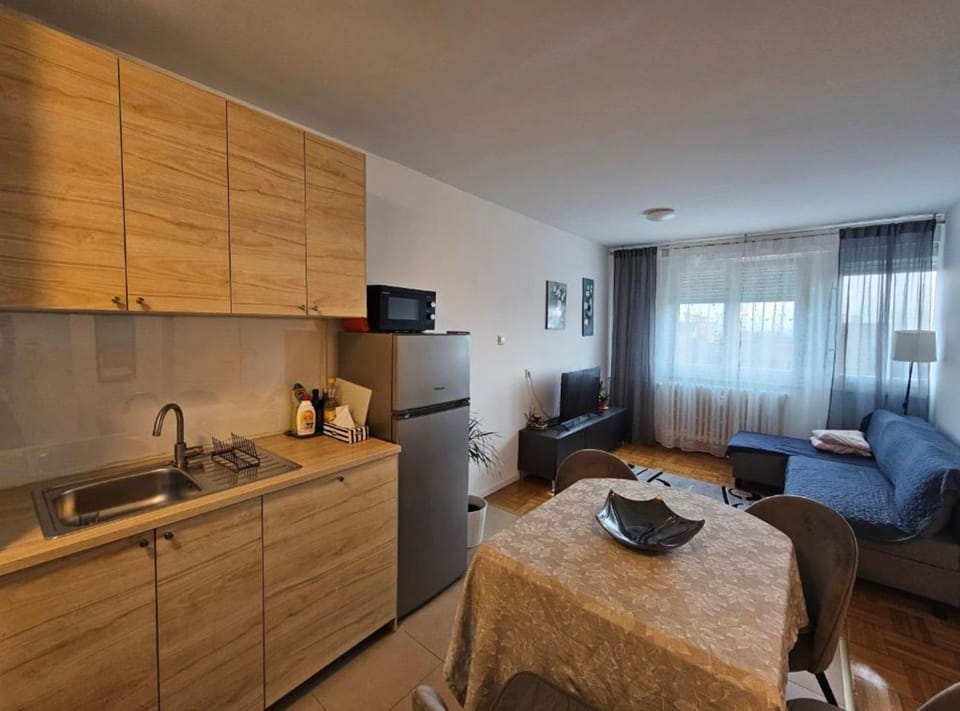 Apartment (Apartman FITT) | Private kitchen | Fridge, cookware/dishes/utensils