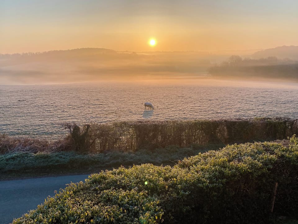 Holly Cottage – a private East Sussex retreat with panoramic countryside views.