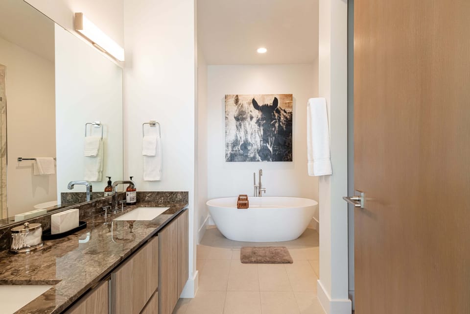 Double vanity bathroom with modern finishes