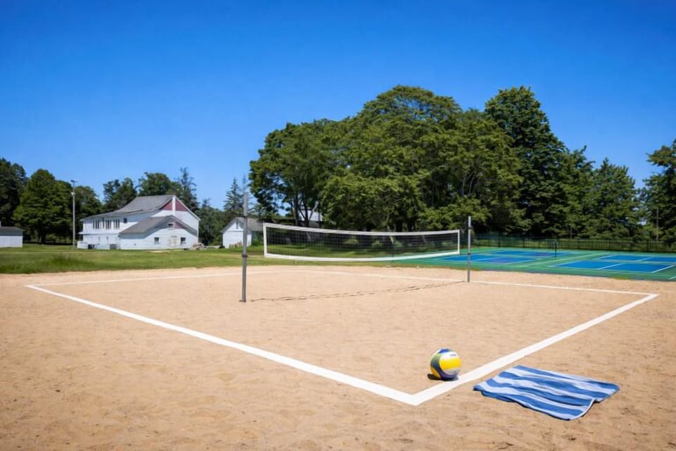 Volleyball