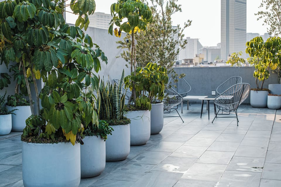 Terrace/patio