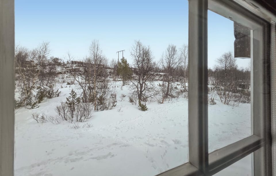 view-from-room