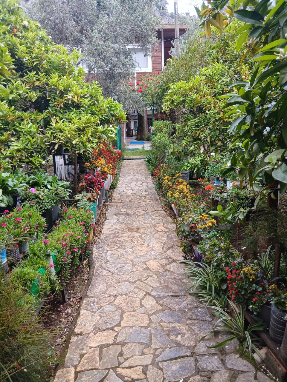 Bungalow giriş yolu