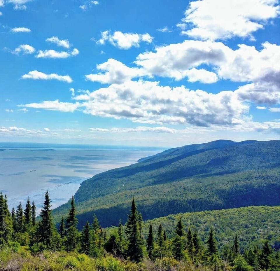 🥾 Sentiers des Caps Randonnées panoramiques avec vue imprenable sur le fleuve, à 10 minutes.