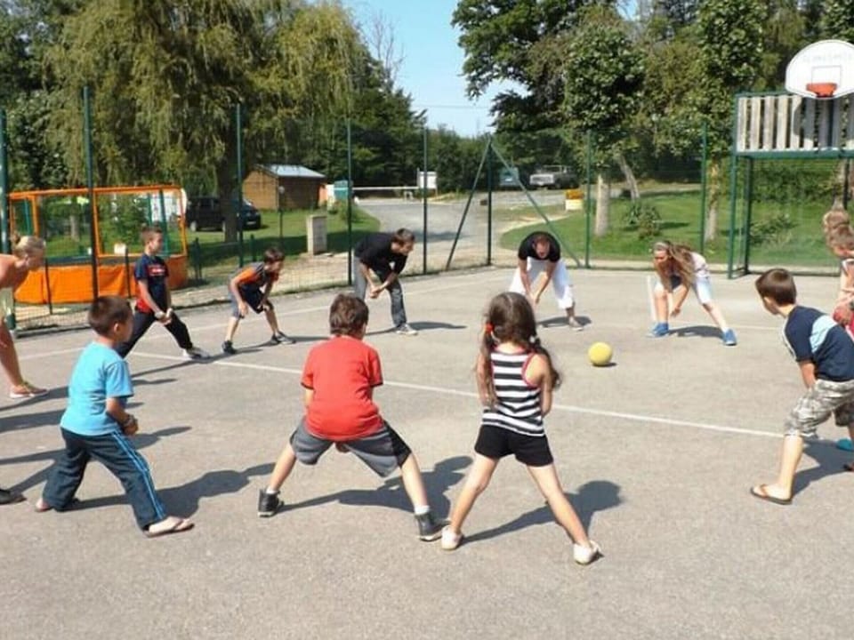 Sport court