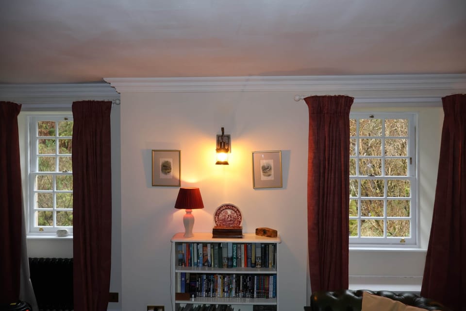 IMG 7395