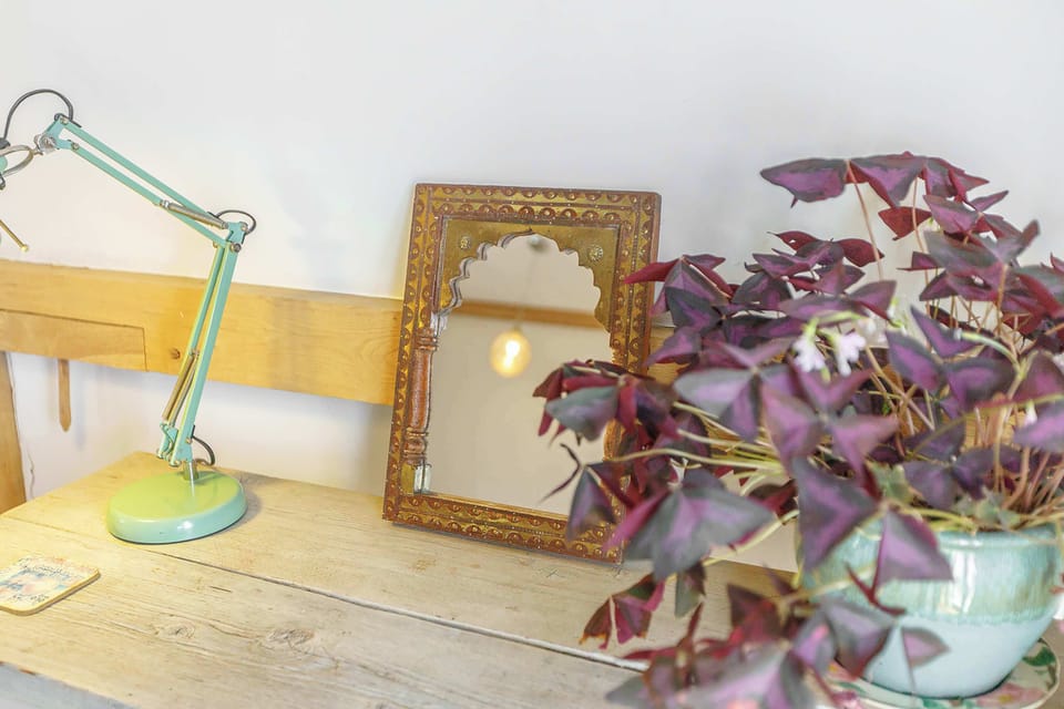 Tree House, Lewes - Host & Stay