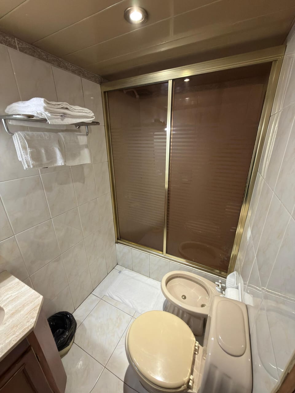 Classic Room | Bathroom | Shower, hair dryer, bidet, towels